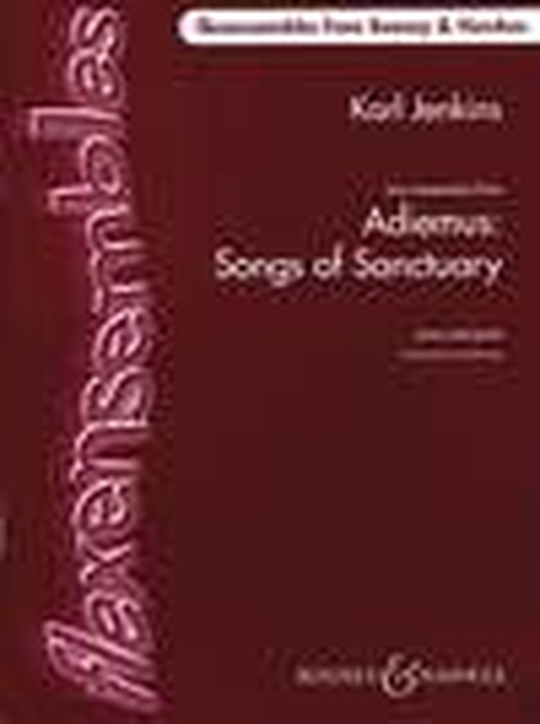 Adiemus: Song of Sanctuary - Two Movements, Flexibles Ensemble,  Schulorchester